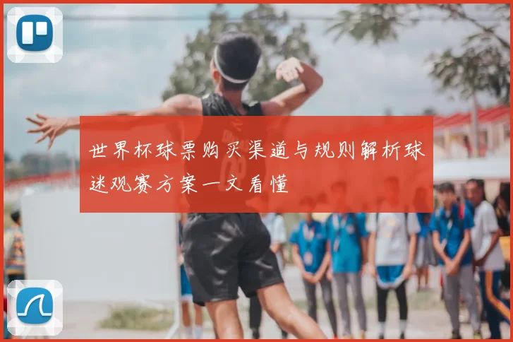 世界杯球票购买渠道与规则解析球迷观赛方案一文看懂