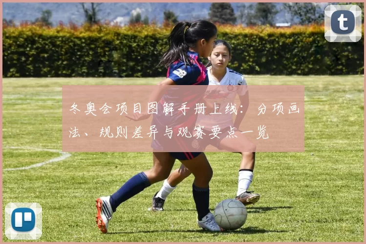 冬奥会项目图解手册上线:分项画法、规则差异与观赛要点一览